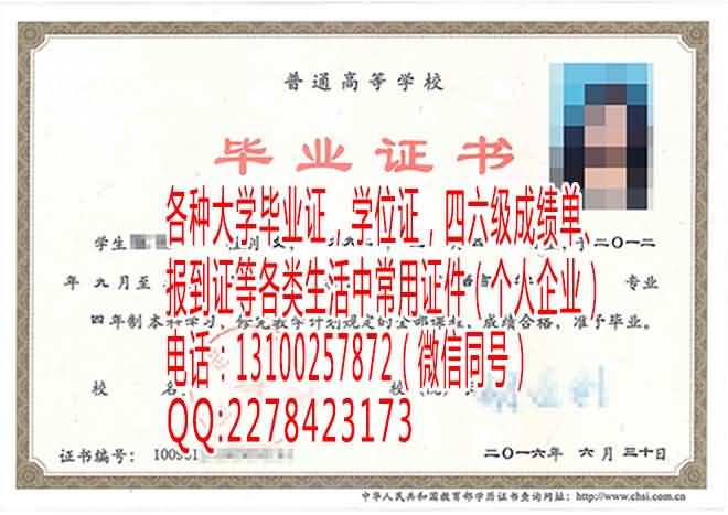 大学毕业证样本 拷贝.jpg